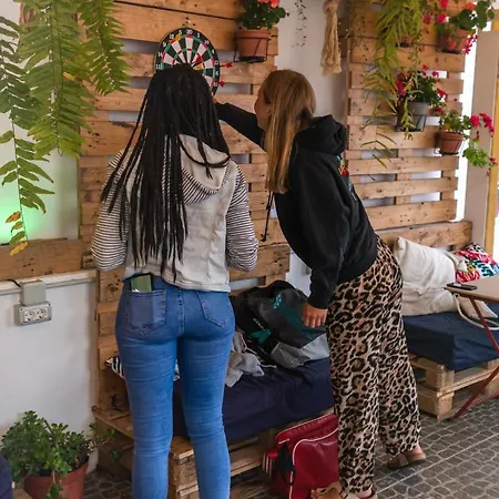 Aguere Nest