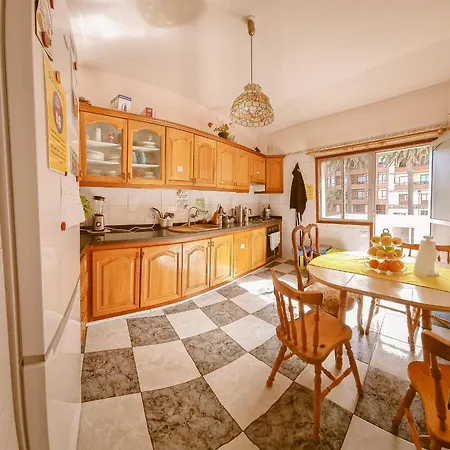 Aguere Nest * La Laguna (Tenerife)