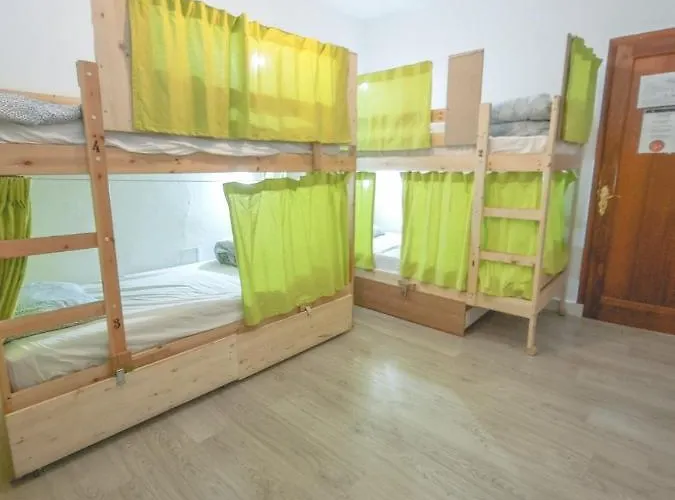 Aguere Nest * La Laguna (Tenerife)