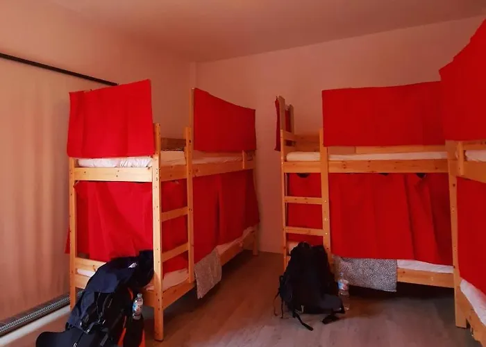 Aguere Nest * 라 라구나